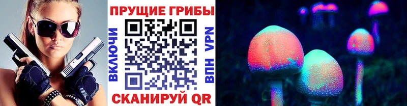 Псилоцибиновые грибы Psilocybe Усинск